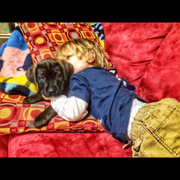 Meet your Posher, Gashmell. - Picture 8 of 12